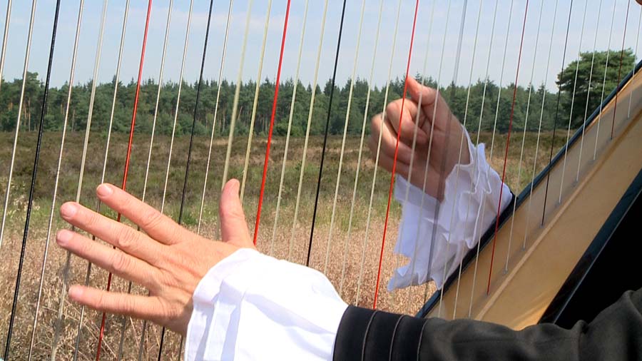 Muziek uitvaart harp